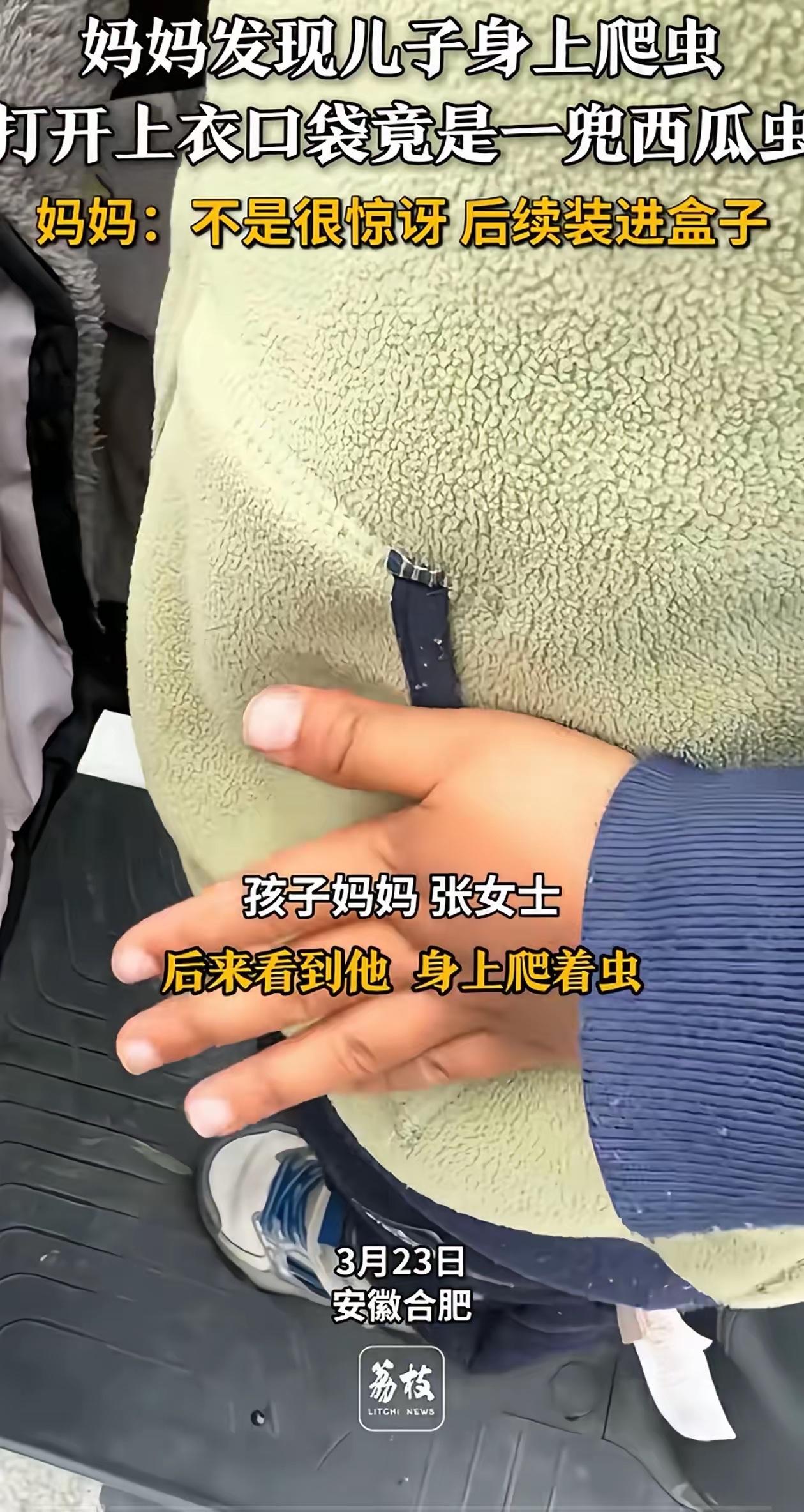 万万没想到！安徽合肥，女子发现孩子衣服上有虫子爬，她过去找了半天，最后掀开衣兜一