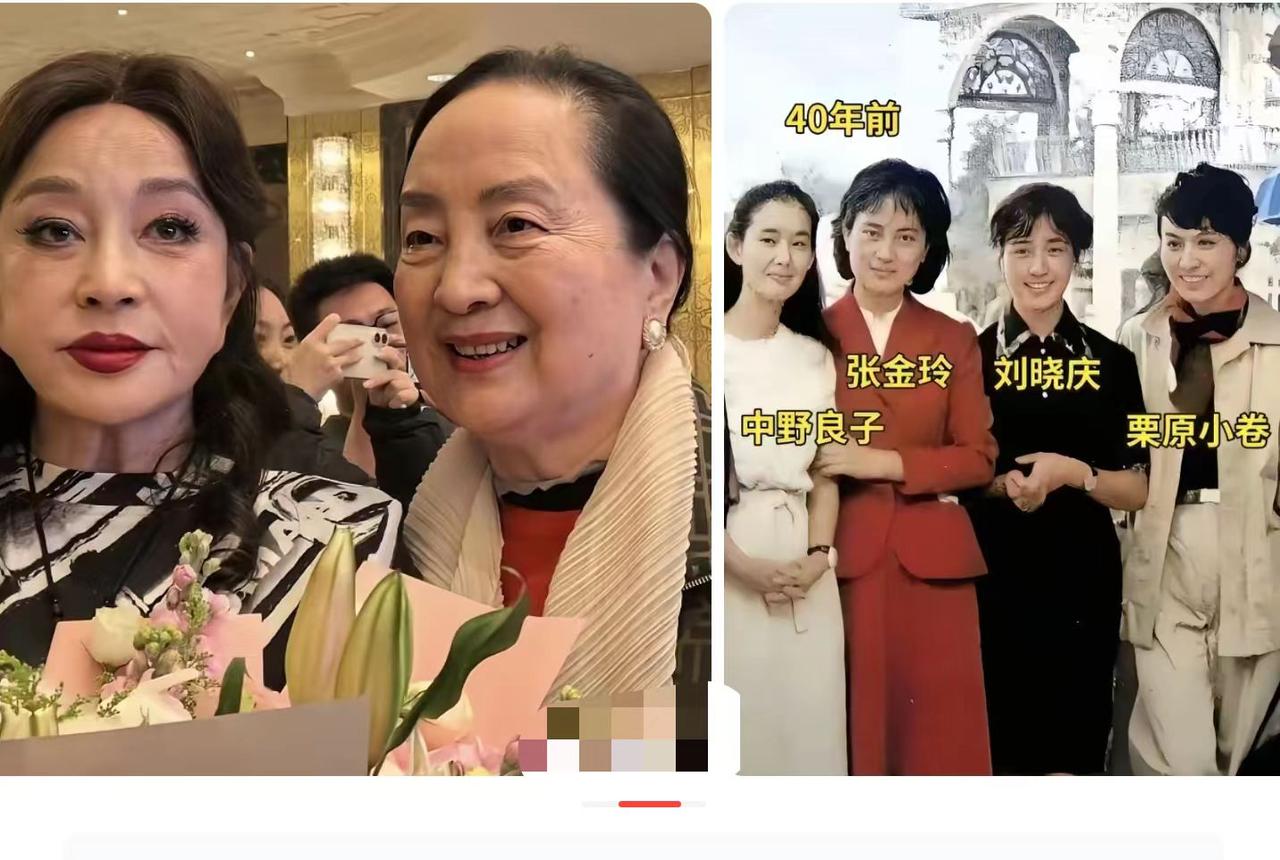 张金玲现在看着比刘晓庆自然多了？