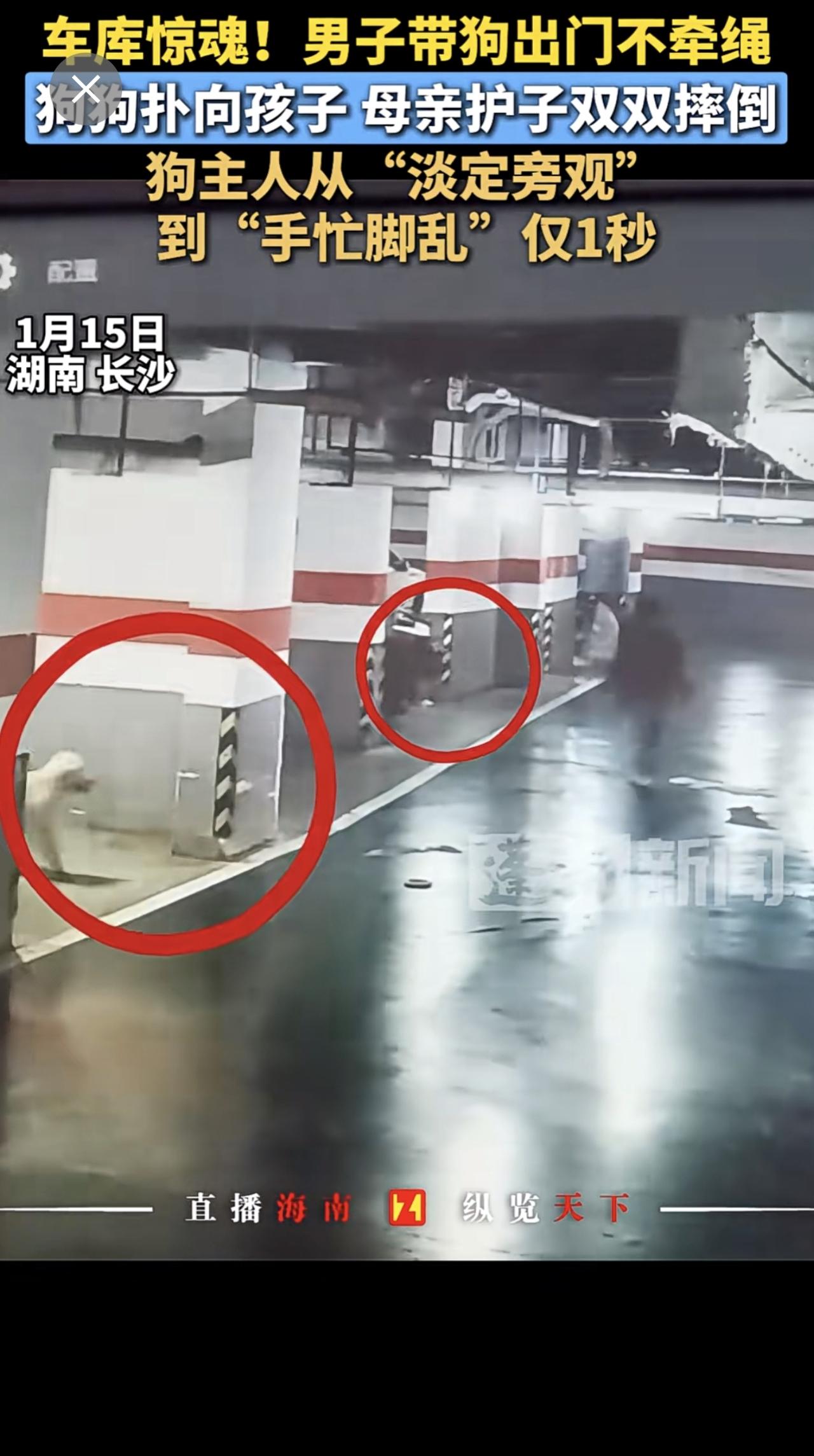 车库惊魂！男子带狗出门不牵绳，狗狗扑向孩子母亲护子双双摔倒，狗主人从“淡定旁观