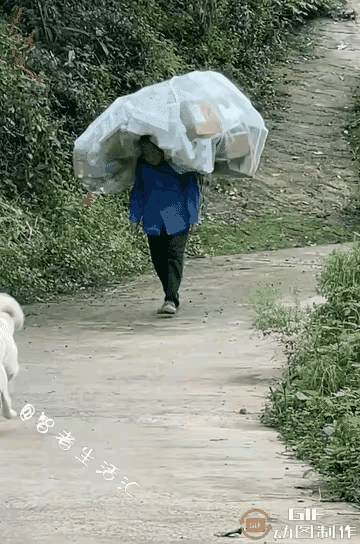 谁看了不心疼！拾荒奶奶背着沉重废品赶路，冲上来帮她拖袋子的，竟是只捡来的流浪狗！