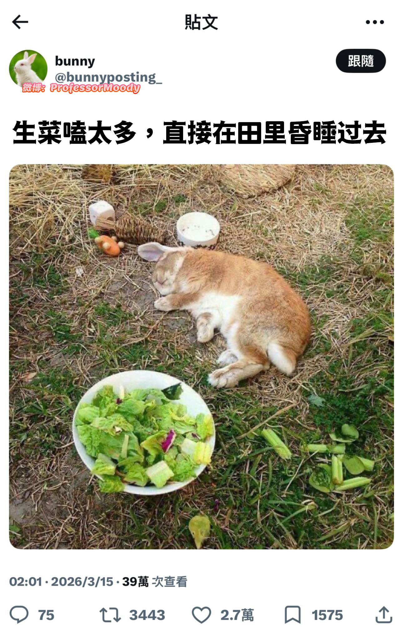 饭晕时间到meme