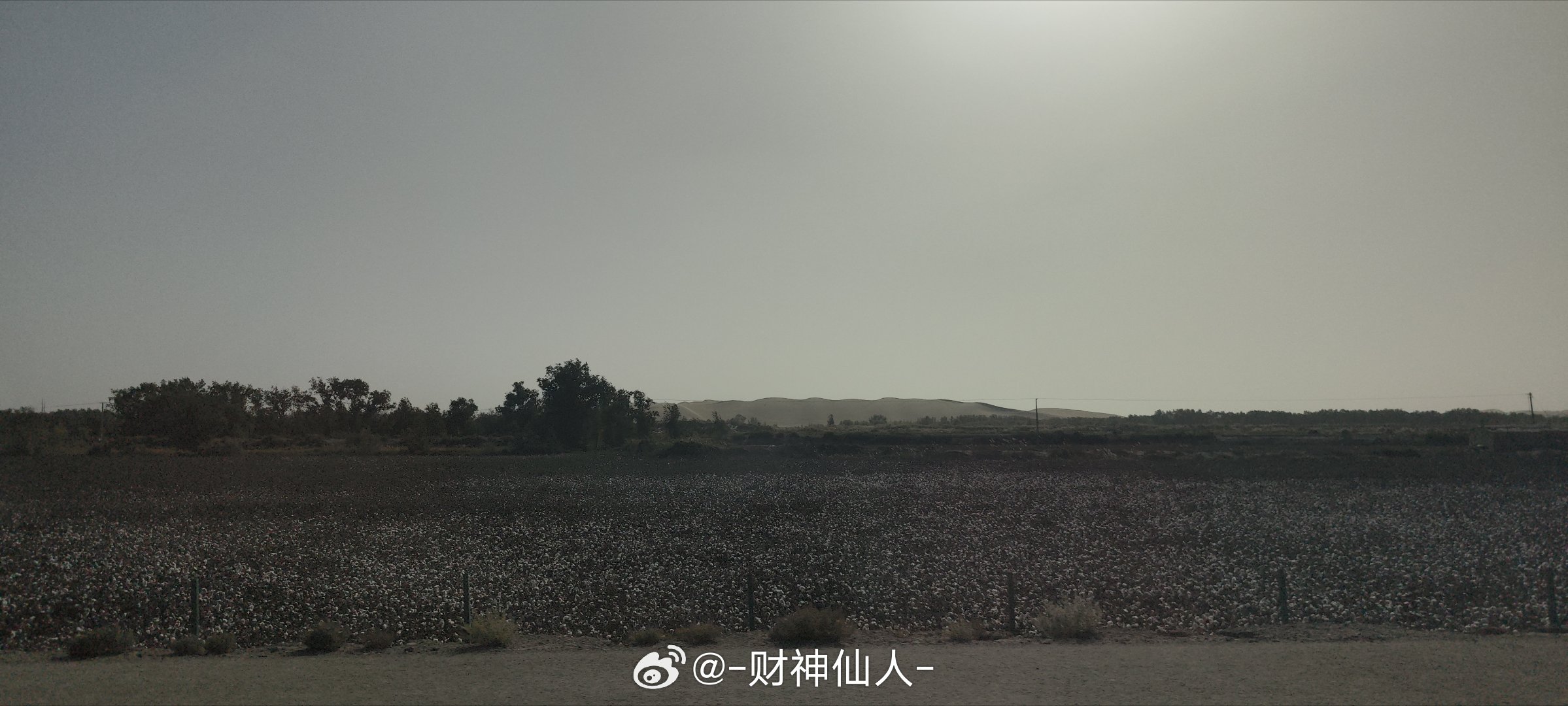 最远处塔克拉玛干沙漠，近一点是大片棉花种植田，正在收棉，大卷大卷的棉花。面前是高速公路，背后是水库，