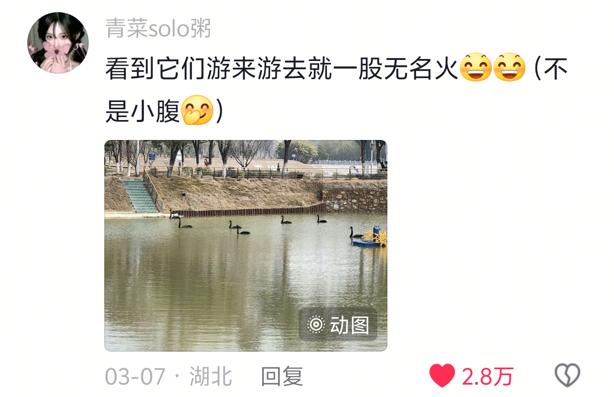 论学校把钱都花在了哪里