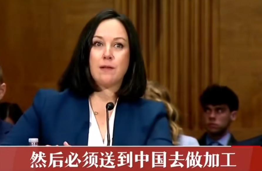 风水轮流转，卡脖的痛美国也体会到了：现在美国才发现自己费劲开采出来的稀土，最后还
