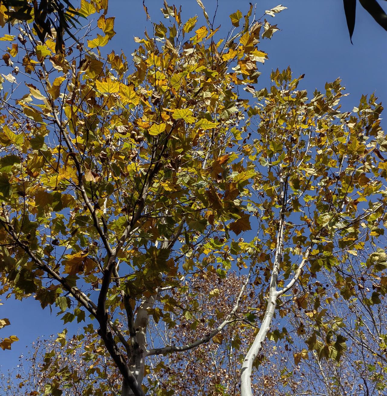 一女生在班里把手伸进另一女生衣服中“摸”，被摸女生大哭，家长听说后一口咬定是霸凌