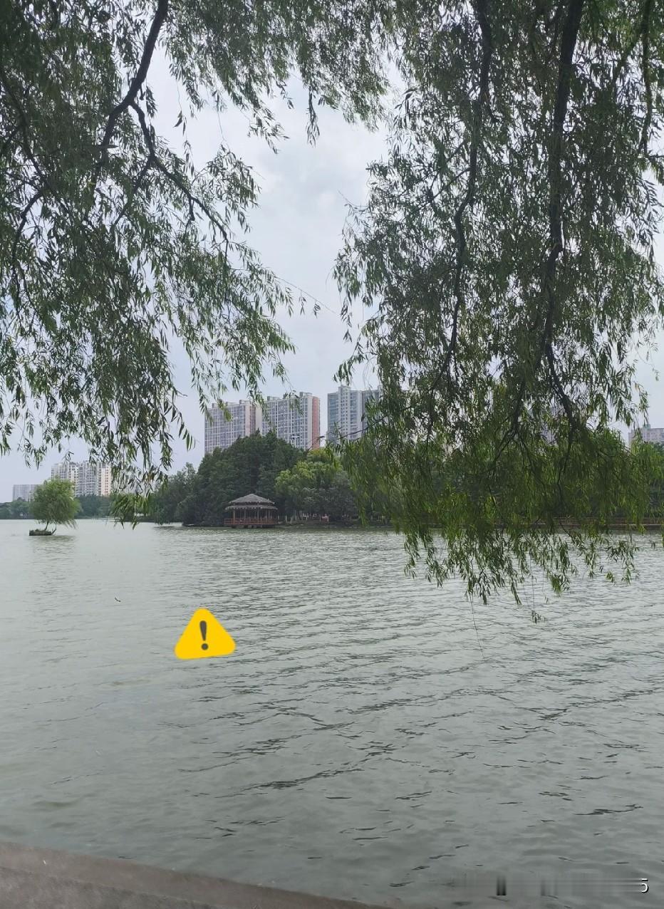全网都在骂星宇老板为富不仁，骂一群大学生被星宇老板玩残了。其实这群大学生根本就没