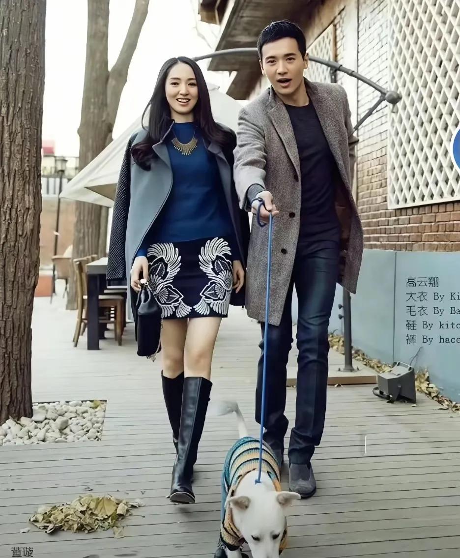 董璇和张维伊决定结婚时，董璇提前给前夫高云翔发了消息，毕竟他还是自己女儿的爸爸，
