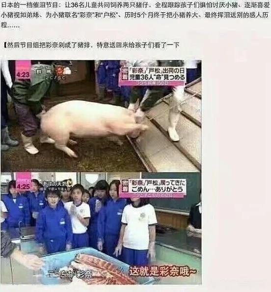 日本文化总是给人一种恶心的感觉。几年前，日本有一档节目本意为培养孩子们的爱心和