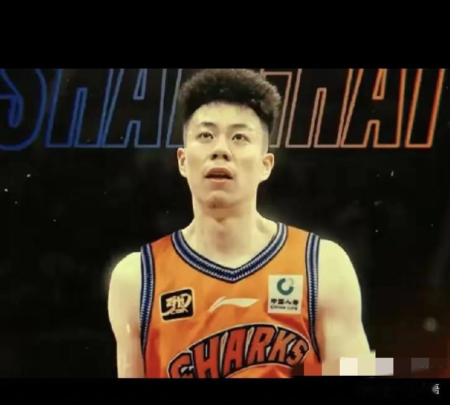 花重金抢宝似的签了辽篮张镇鄰，弗格的上海队，面对捡了辽篮两剩儿(赵率洲和刘㕍宇)