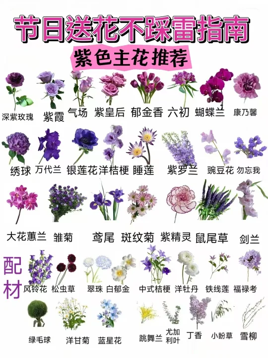 高级感配色，后悔没早点知道这些紫色搭配！