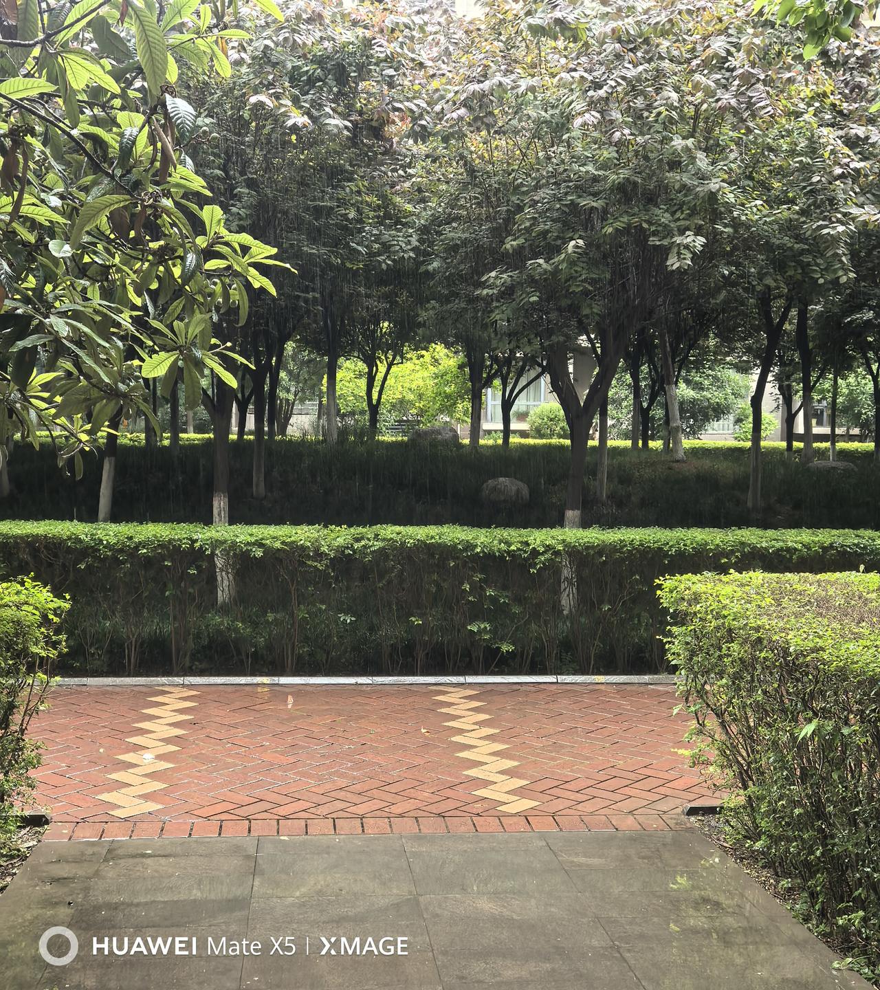 天气预报没雨，阴晴。结果现在正在落雨，地皮己湿。六点半还没雨，现在是七点三十三