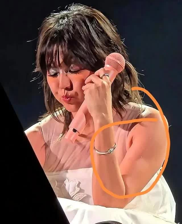 孙燕姿真的不要再开演唱会了！不是因为你的唱功不行，也不是因为你的咖位不高
