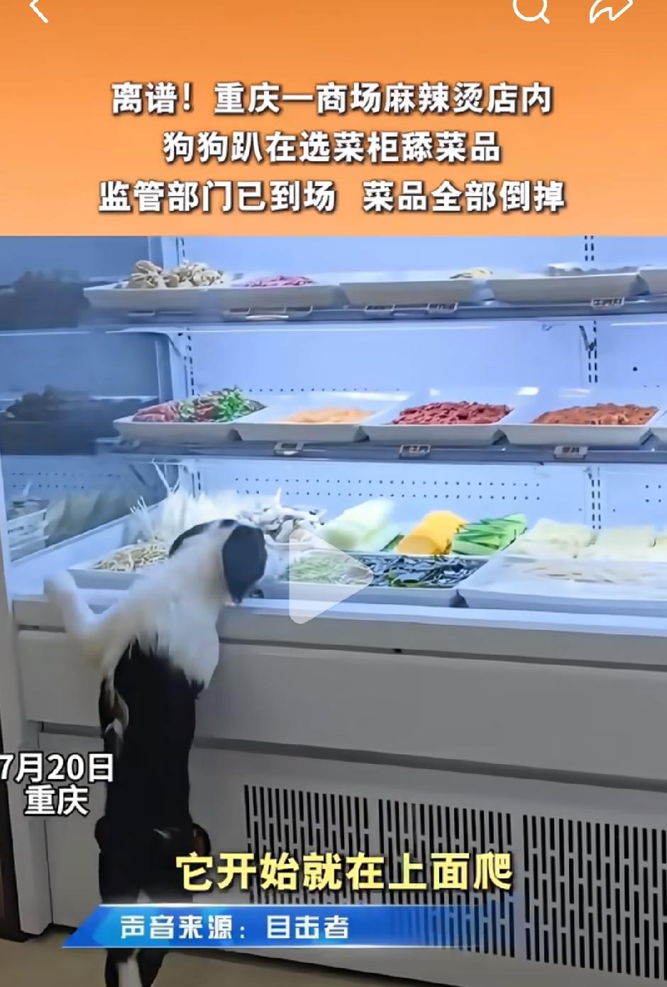 近日，有网友发视频称：在重庆一麻辣烫店内，狗狗趴在选菜柜上舔菜品。随后，该网友