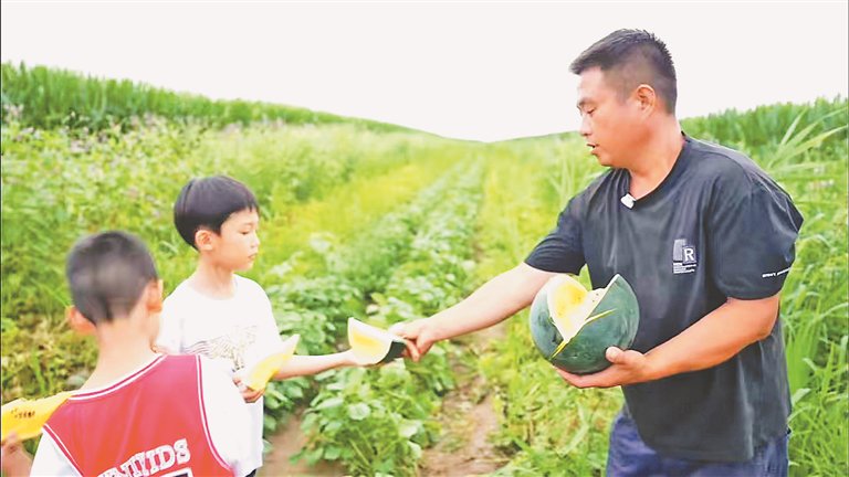 木兰 特色瓜果种植助农增收