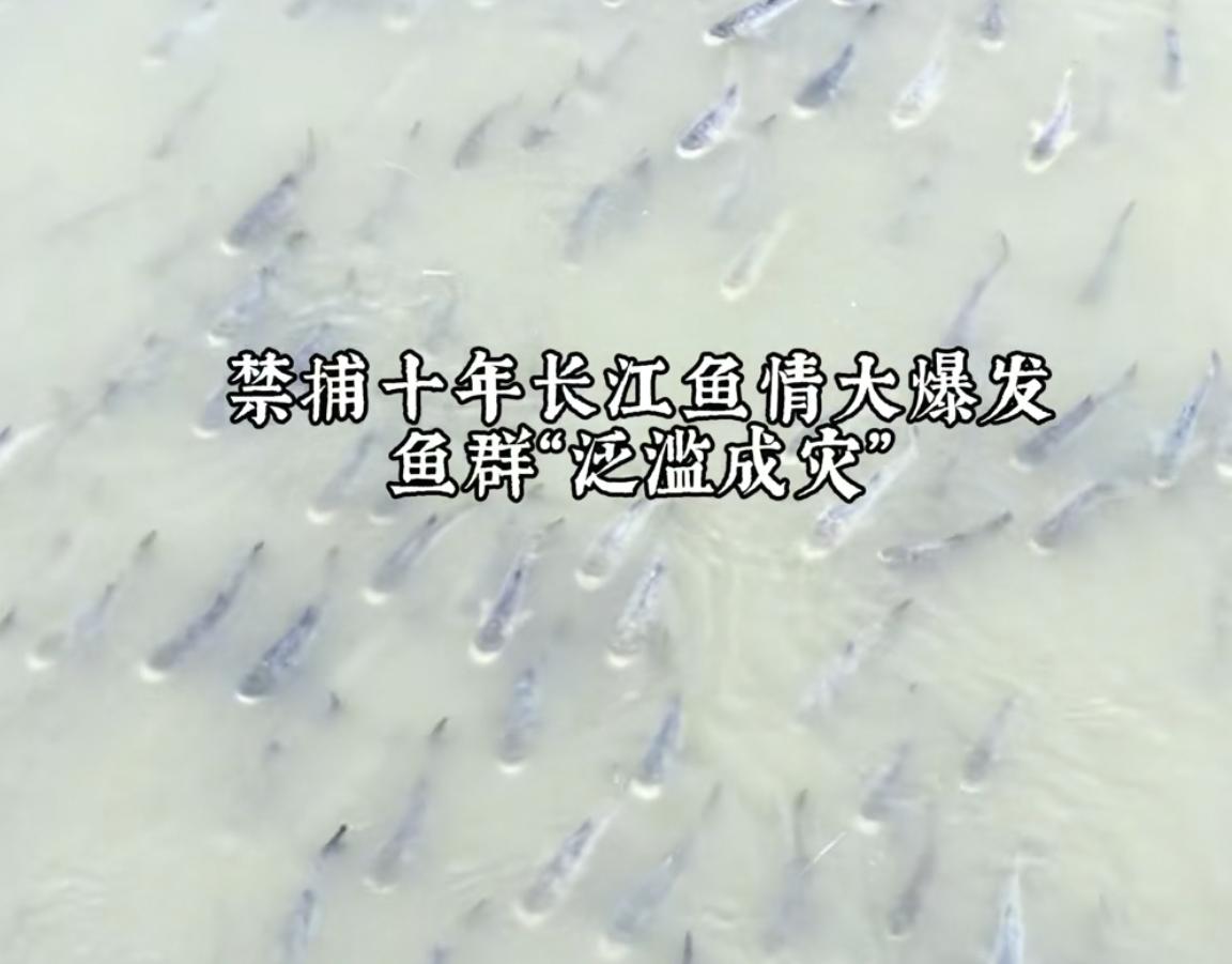 刚看到一组数据，全国钓鱼人有1.3亿，每天大概有1300万活跃人群，人均打窝耗费