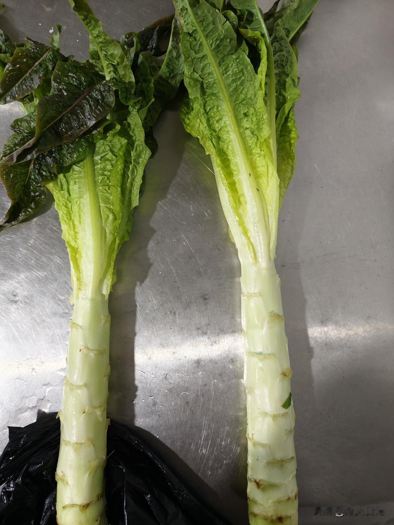 蔬菜中最喜爱吃的还是莴笋了今天准备做一个排骨炖莴笋，早起去菜市场走了一圈，遇