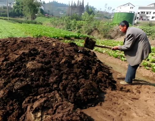 当今社会最大的浪费是人类的粪便：曾经人类粪便是个宝，城里经常发生为抢粪便而争斗不