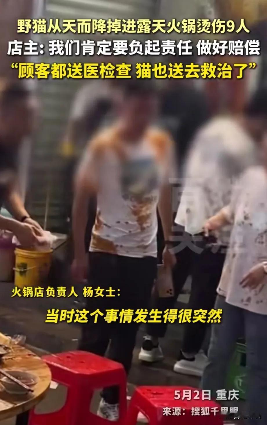 有格局！重庆，9人正在吃露天火锅，突然，从天而降一只猫，直接砸进了锅里！油直接飞