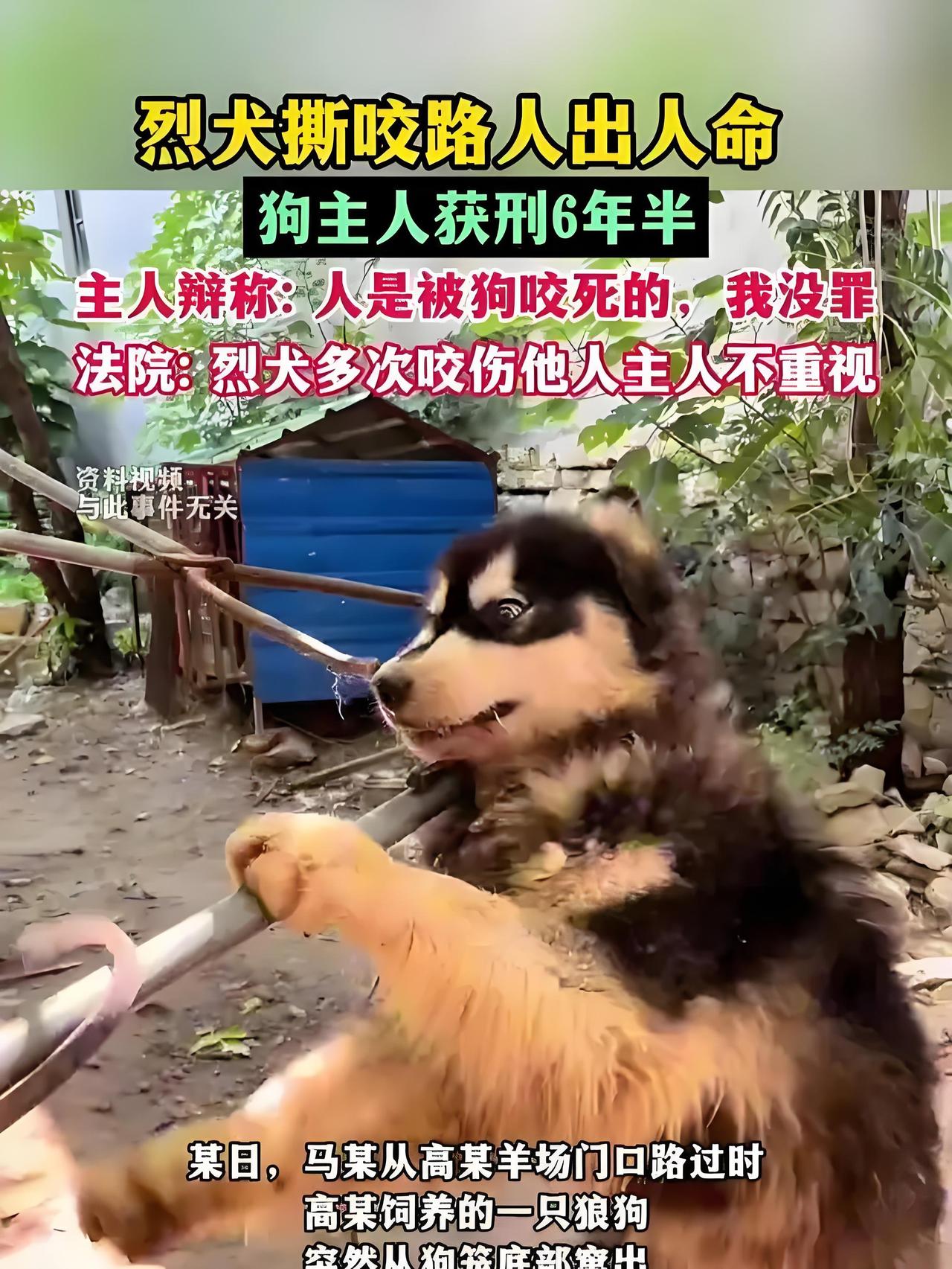 警钟长鸣！烈犬撕咬路人致死，主人不是赔钱就完了，刑责跑不了！全网愤怒！河南