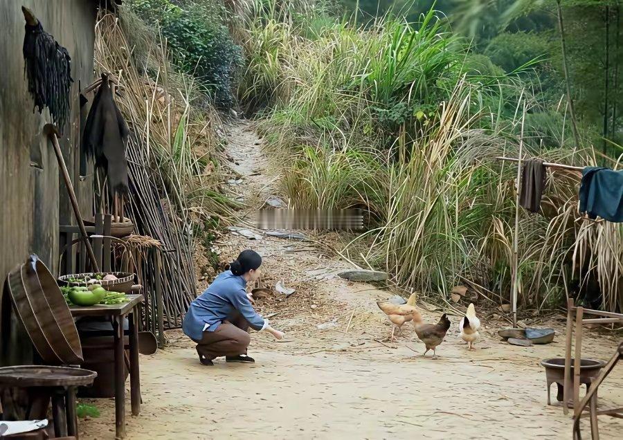 刘亦菲演的农村妇女在喂鸡，总感觉哪里不太对