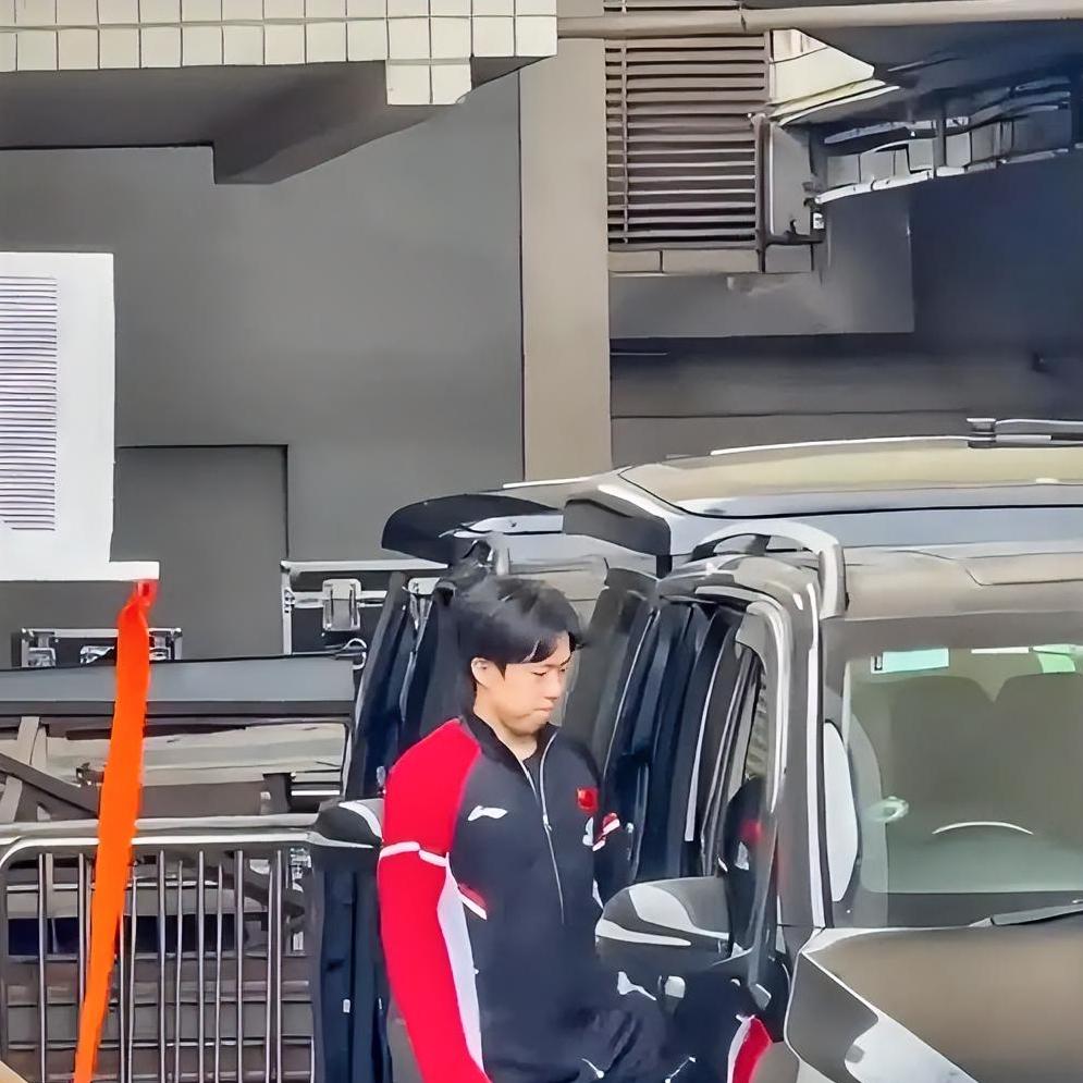 1. 肩部伤病：17岁时全国青年锦标赛就遭遇左肩肩袖肌群二级拉伤，还因此埋下尖峰