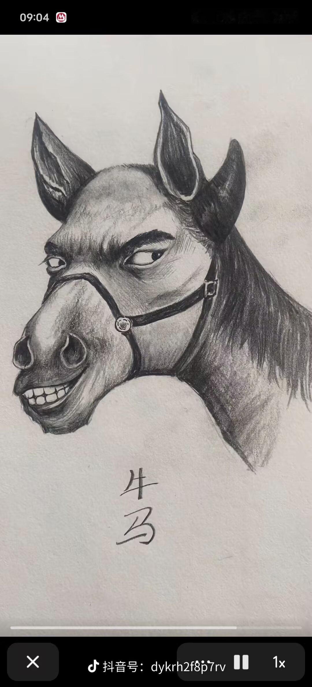 身边之美随手拍