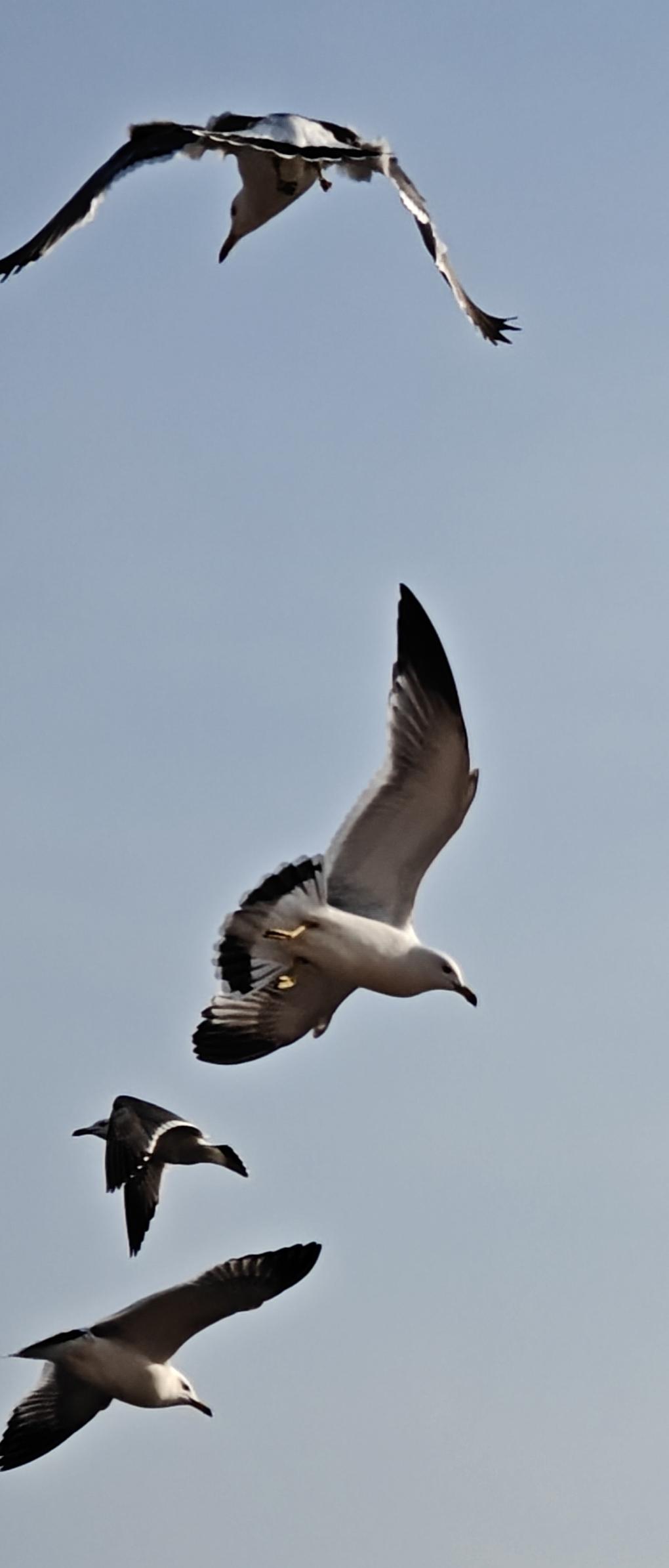 这些人都是怎么提拔上来的？每当出了大的贪腐案件，公众都会发出这样的灵魂拷问。说实