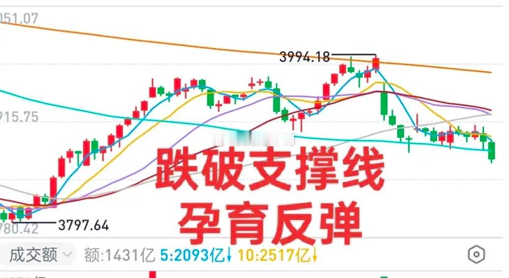 A股：大盘跌破了支撑线，静待抄底机会！小登终究没能抗住“业绩”的洗礼，中登给力，