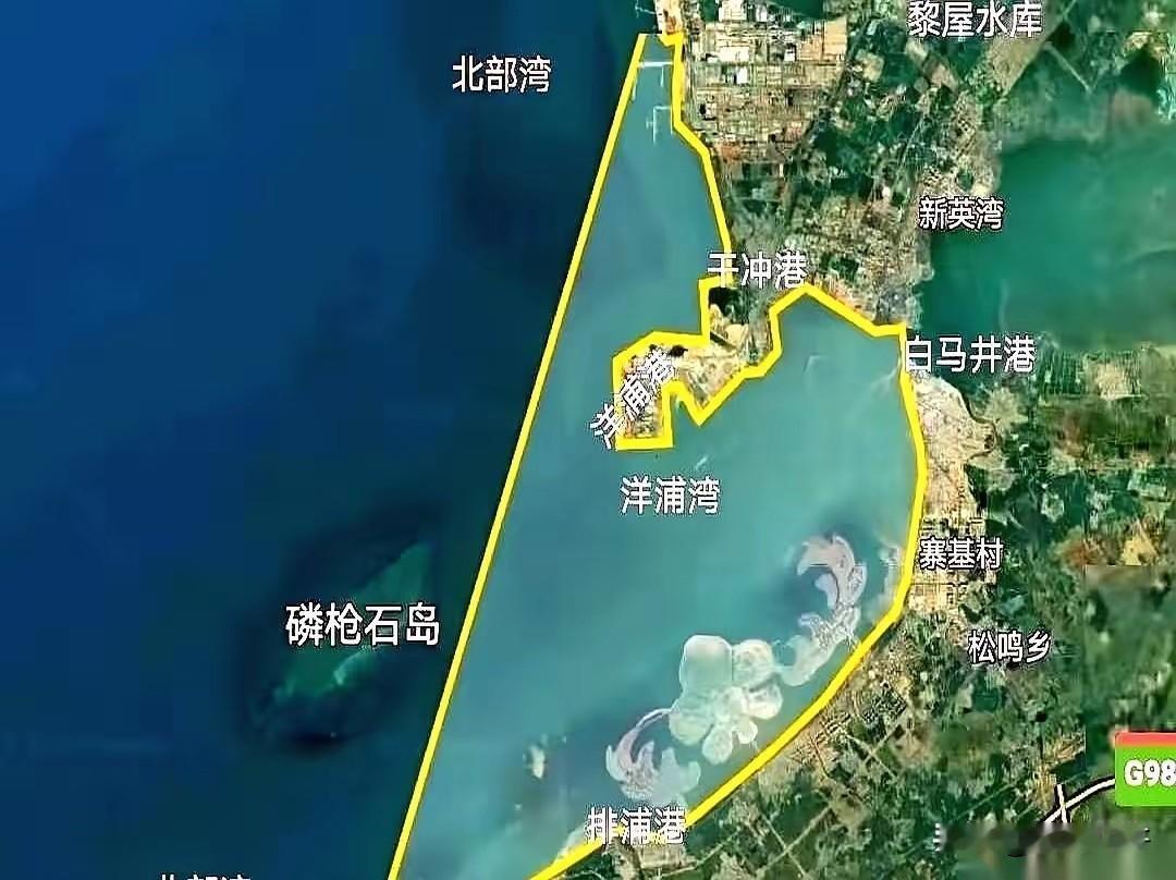 说真的，洋浦港这步棋，看得我后背发凉。五六年前，几百亿几百亿地往里砸，几十条