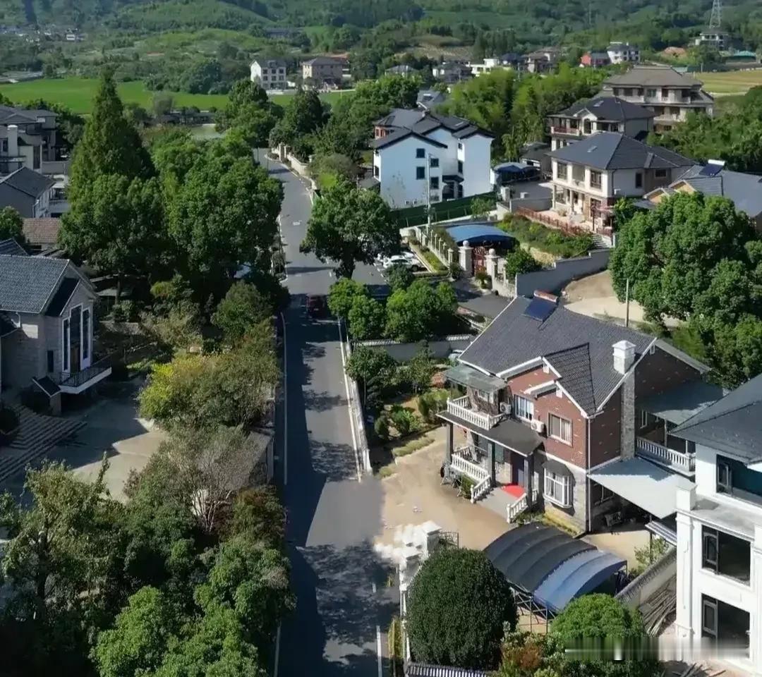 不能允许资本进入乡村宅基地市场，否则就可能颠覆农民赖以生存的根基。