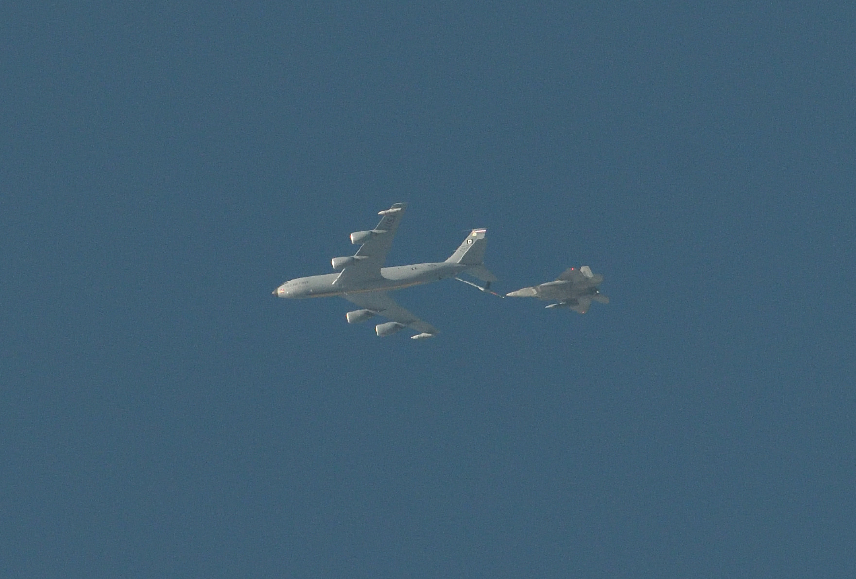 短腿的“娘娘”，跑路了。今天傍晚，澳大利亚西部珀斯（与北京时间没有时差）当地网友