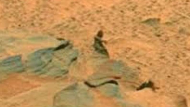 关于宇宙中是否存在外星生命，坊间一直争论不休。近日，美国太空总署（NASA）一张