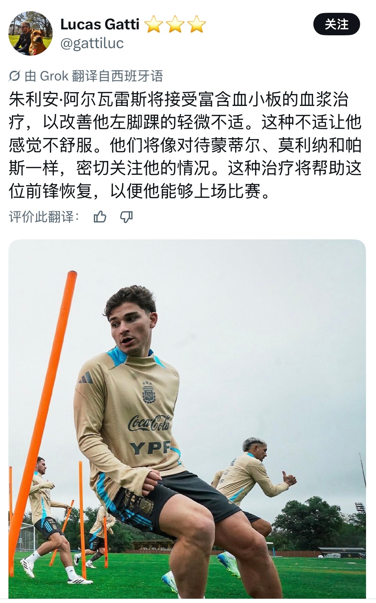 记者LucasGatti｜朱利安·阿尔瓦雷斯将接受富血小板血浆（PRP）治疗，