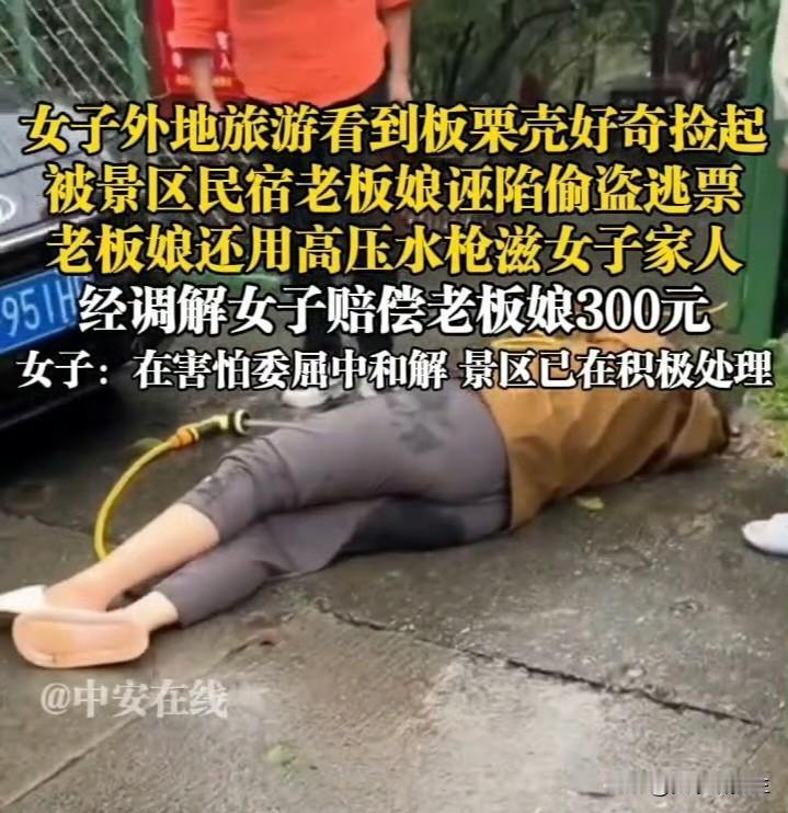 一枚板栗壳，三百块钱，一场让游客寒心的调解。景区工作人员事后确认游客没有偷