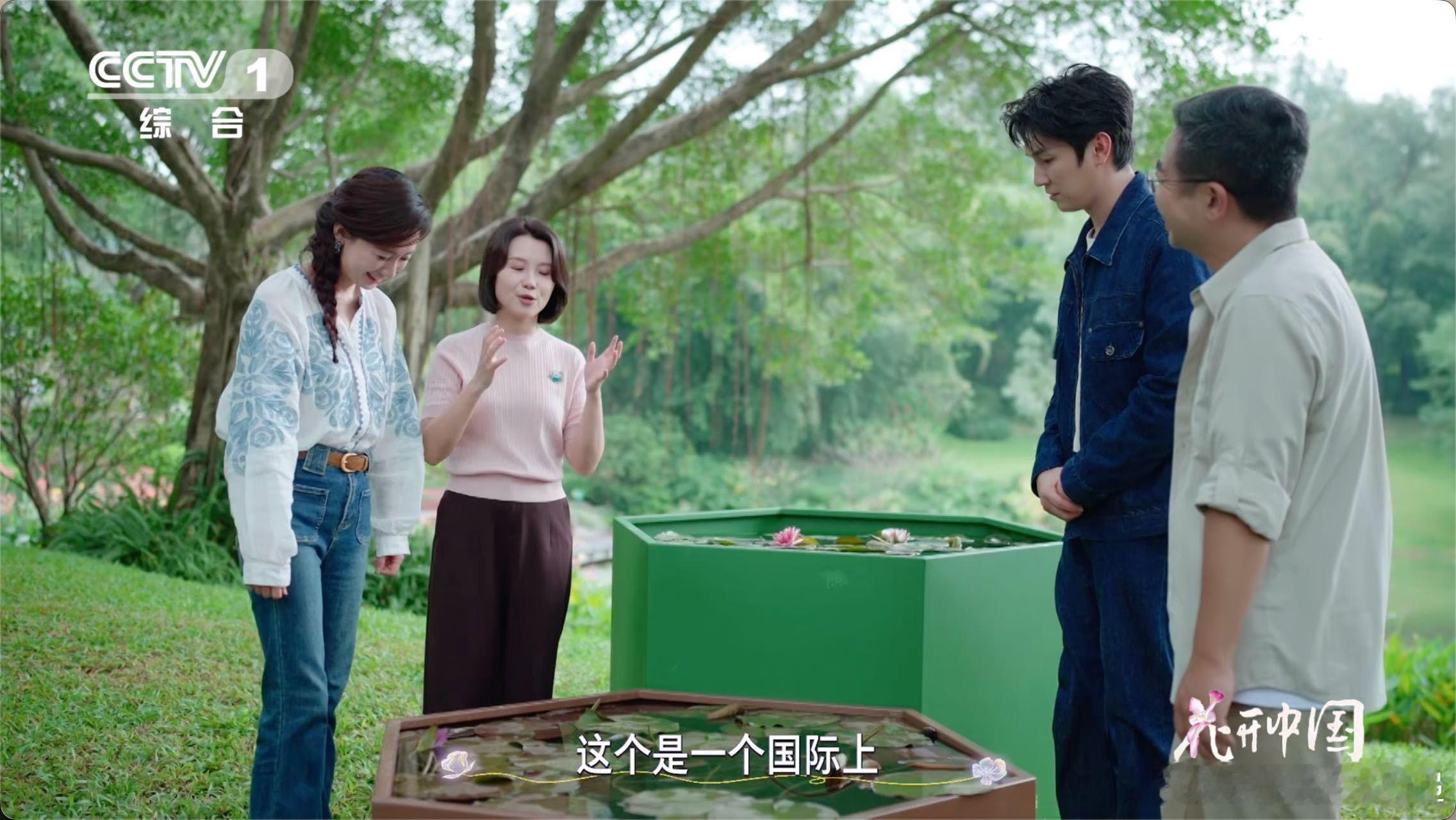 不怕冷也不怕热的花养花最怕环境不合适？这款“侦探艾丽卡”完美解决烦恼！它是17