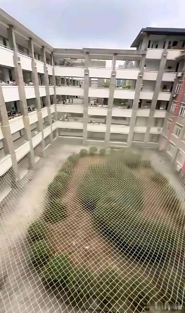 学校装这个网是干嘛的，以前是不是发生什么事了​​​