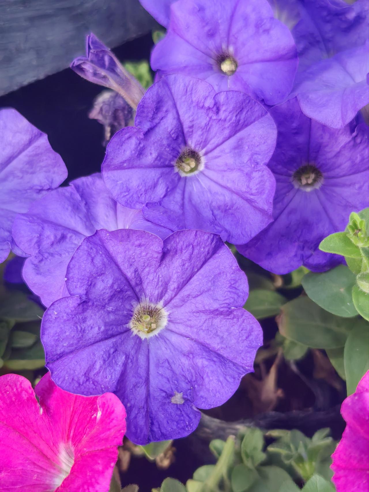 穷困潦倒的时候，你有人借钱给你吗这是一个非常扎心的问题。这个问题我也遇到过。还是