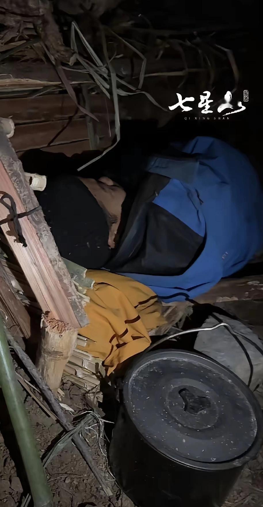 荒野求生，最后一位关注者苗王，因感冒状态不佳。自从林北和刀疤哥退赛后，这关注度