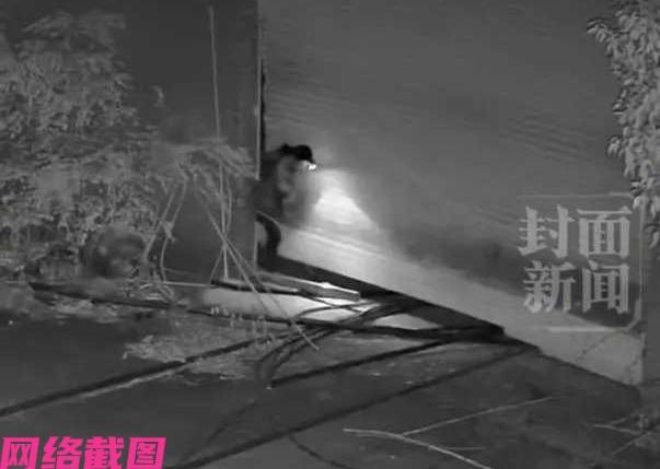 湖南长沙有男子半夜偷偷溜进一家厂区内想做点事，只在男子的身体刚进厂区的那一刻，耳