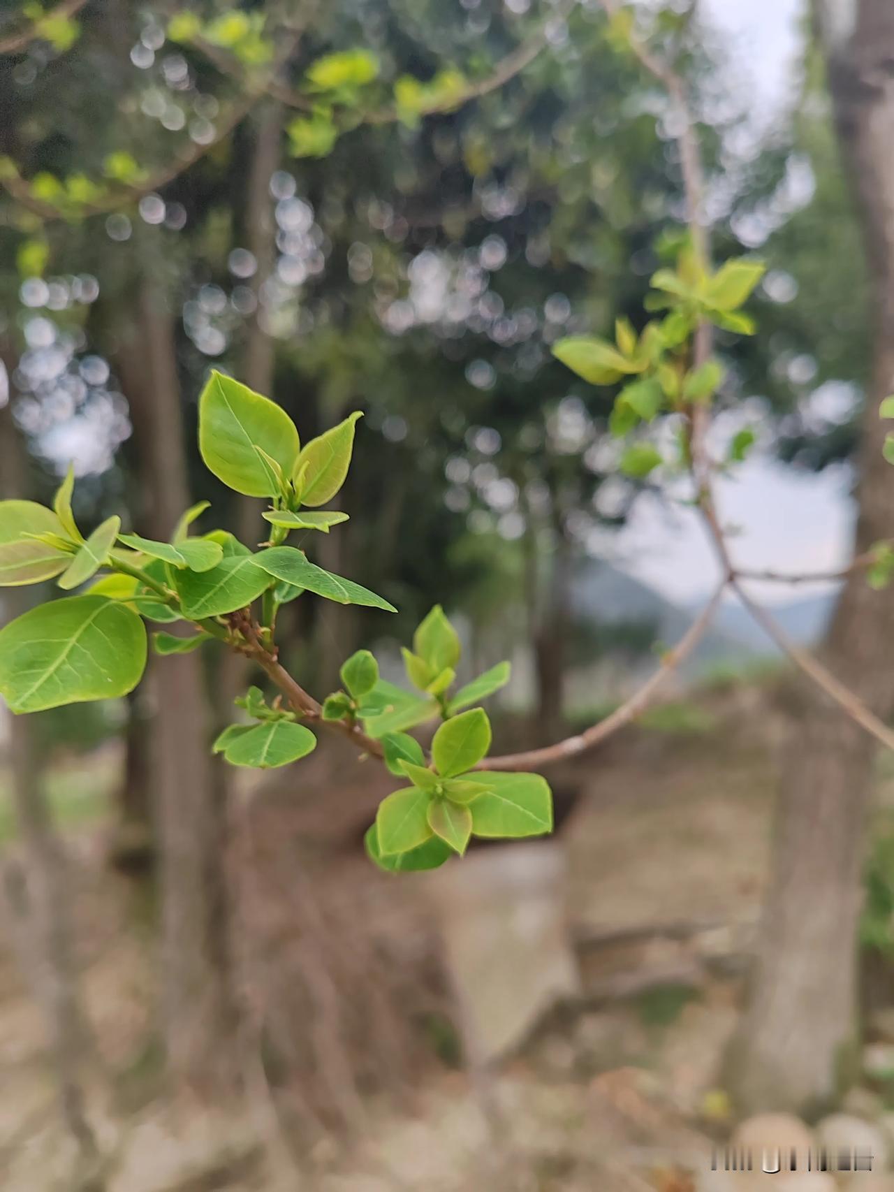 我们一起辞职去做无业游民吧，或许这样可以活得久一点？你看啊，现在上班的，谁