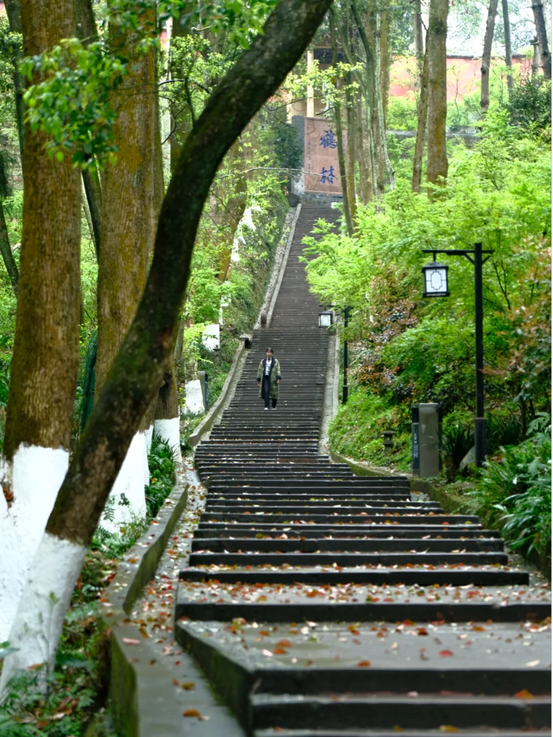 🍃2026年值得打卡的18条踏青徒步路线！