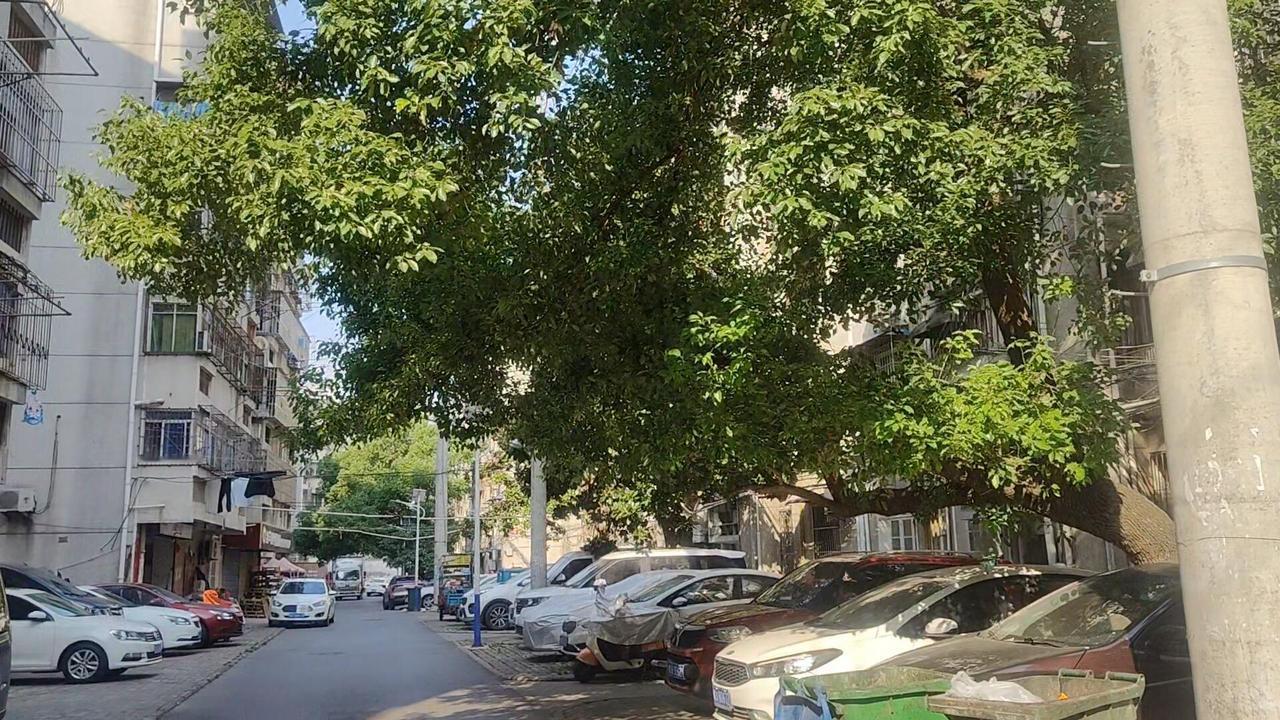 我发现，比房价下跌更可怕的，是很多人对房子的执念。今天和朋友带娃出去玩，然