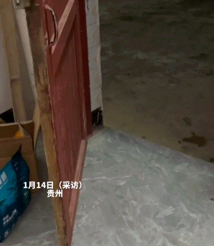 笑不活了，贵州，一女子发现自家猫咪在吃晚饭时，听到院子里有声音后，便探出头去查看