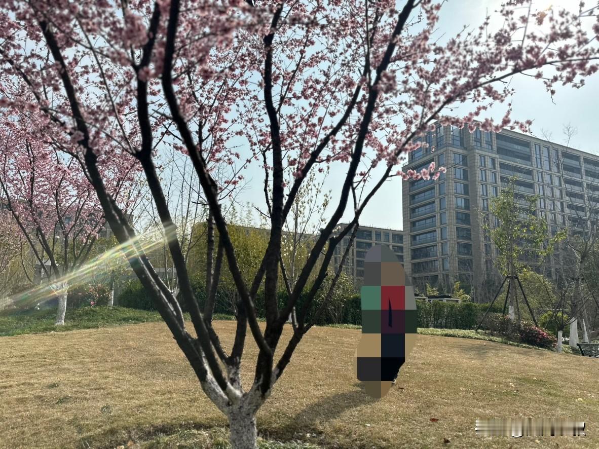 妈妈打来电话说54岁的堂哥心梗走了我心里一惊怎么可能春节的时候明明看起