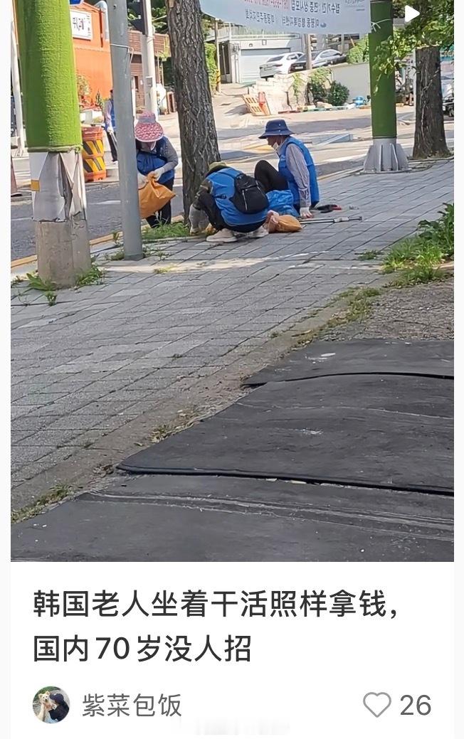 衷心的希望你到了70岁能在韩国路边拔草赚钱。海外新鲜事热点现场