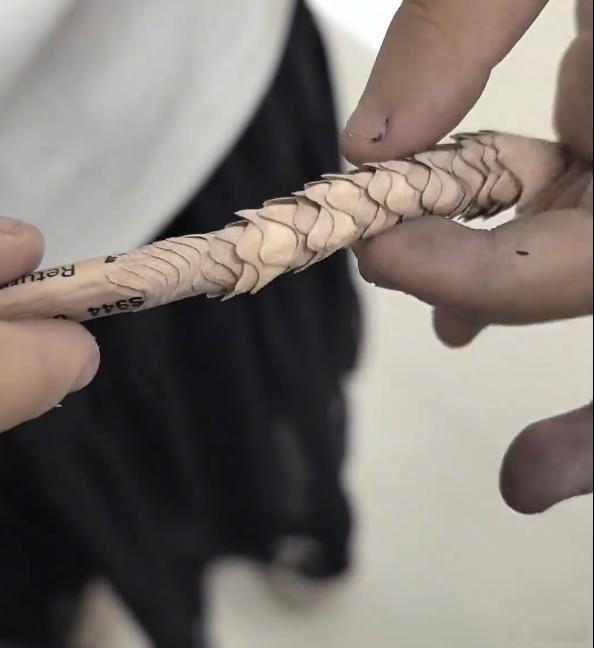 娃将铅笔削成龙鳞家长该先打还是先骂，还是拜师？