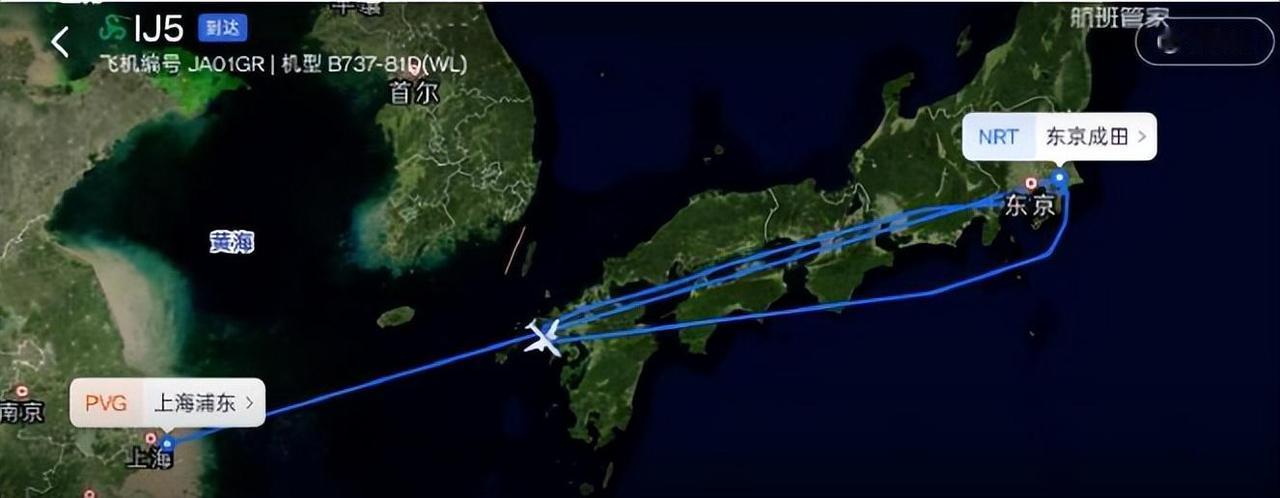 卧龙凤雏！！就因为两个人没坐在一起整架飞机掉头回东京了。一百多人跟着折腾