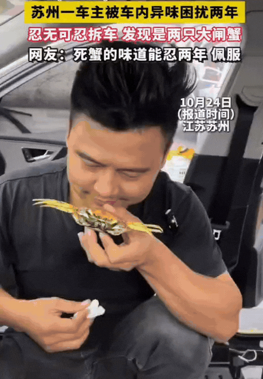 恶臭！苏州奥迪车主被车内异味熏了2年，拆开车子搜出2只阳澄湖大闸蟹！近日苏州