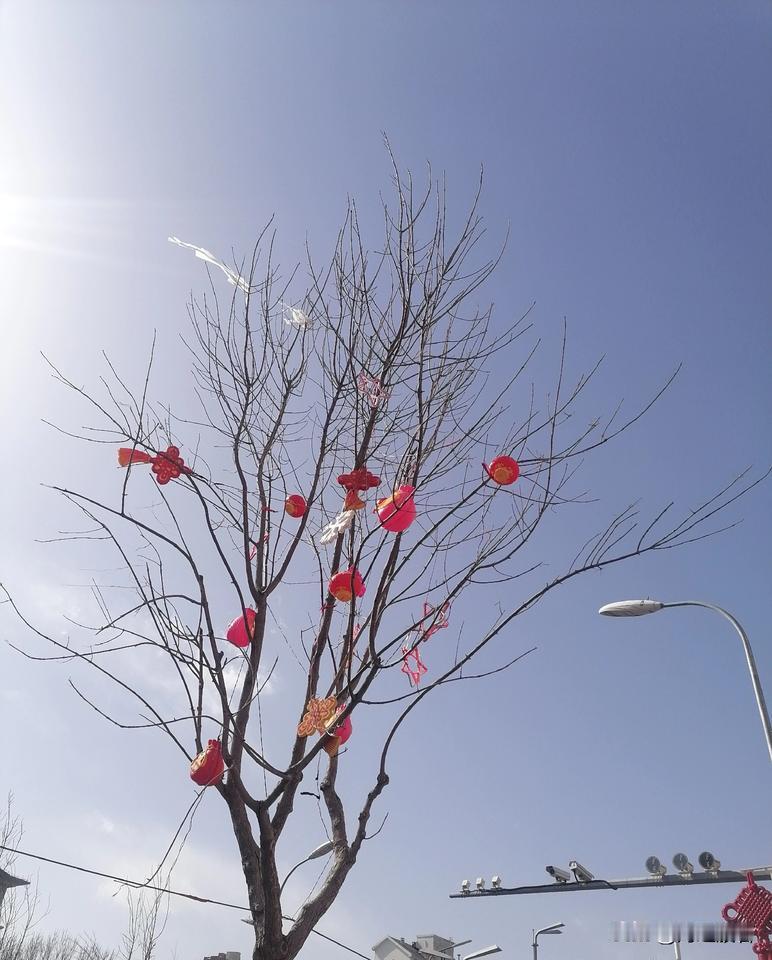 北京这大风啊，呼呼地刮起来了，风力强劲，感觉比昨天冷。今天最高气温将大幅下降。