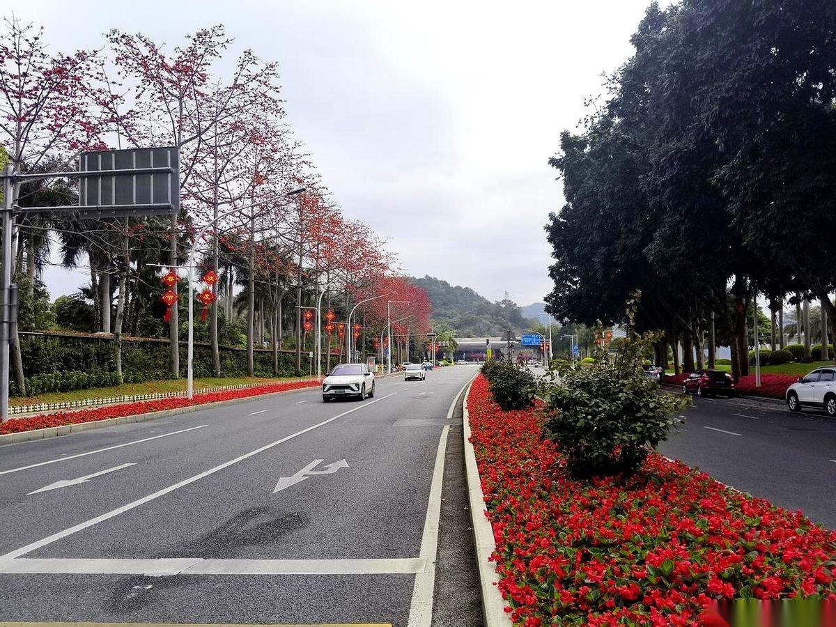 中考成绩就一个A，不上不下的，卡在这儿了。二中三中邕高那些神仙学校是没指望了，